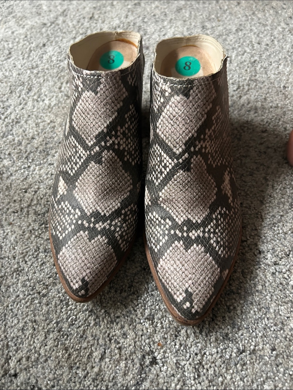 Dolce Vita Snake Print Pointed-Toe Mules - Gray/Taupe